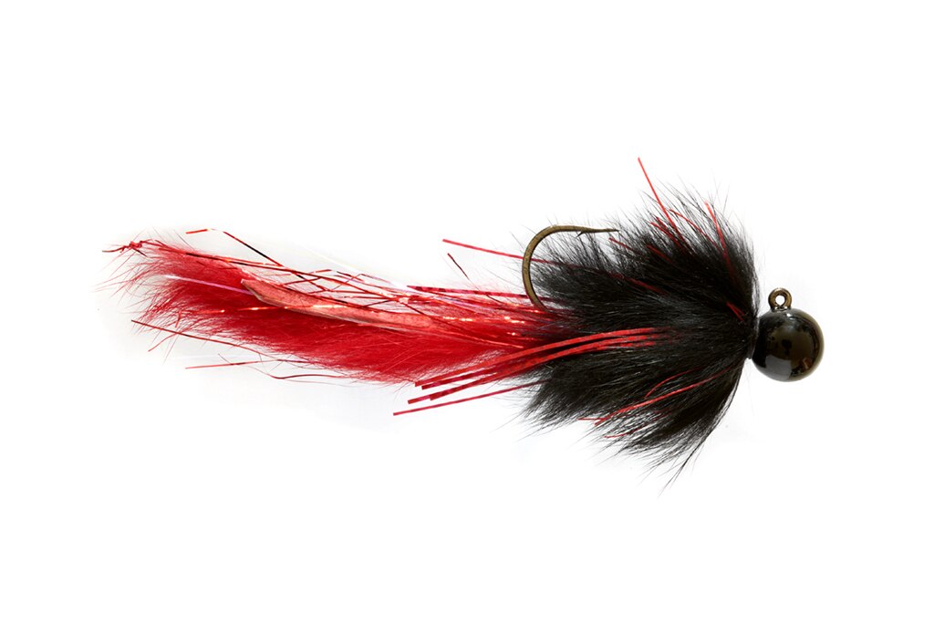Body Color: Black, Head Color: Blue, Orange, Tail Color